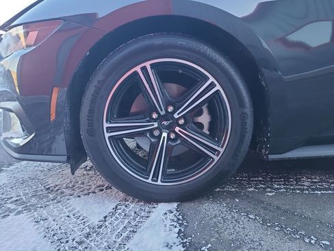 Used 2024 Ford Mustang Premium image 18