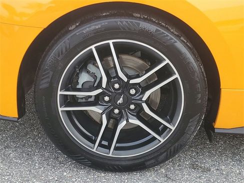 Used 2019 Ford Mustang GT Premium w/ Equipment Group 401A image 5