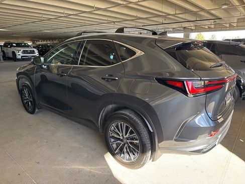 Certified 2025 Lexus NX 350 350 Premium image 4