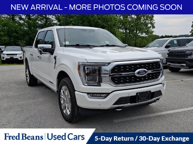 Used 2023 Ford F150 Platinum w/ Equipment Group 701A High AWD/4WD image 2