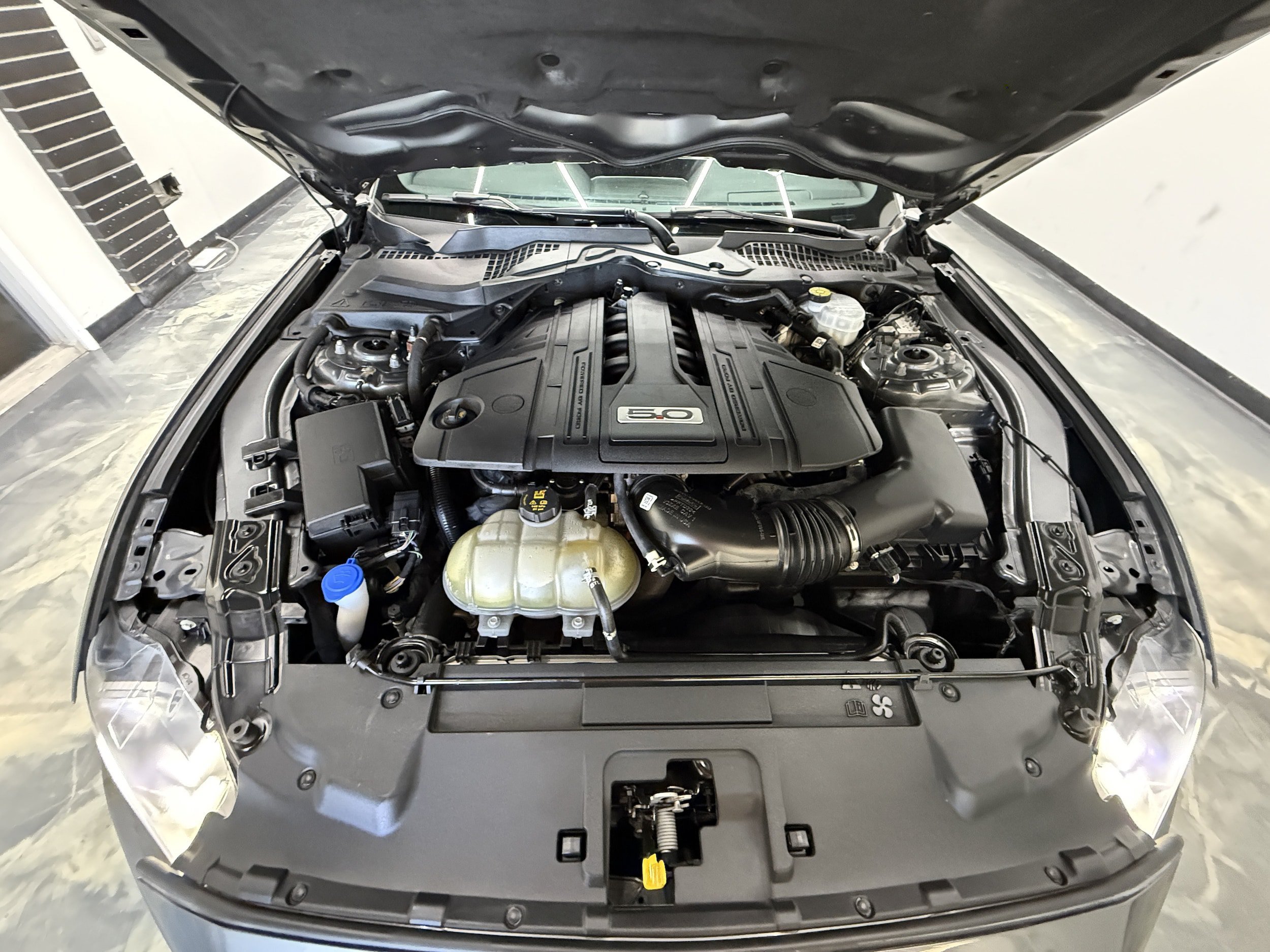 Used 2021 Ford Mustang GT Premium w/ Equipment Group 401A RWD image 26