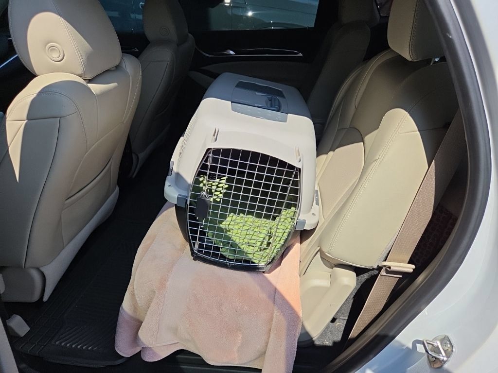 Used 2019 Buick Enclave Essence FWD image 5