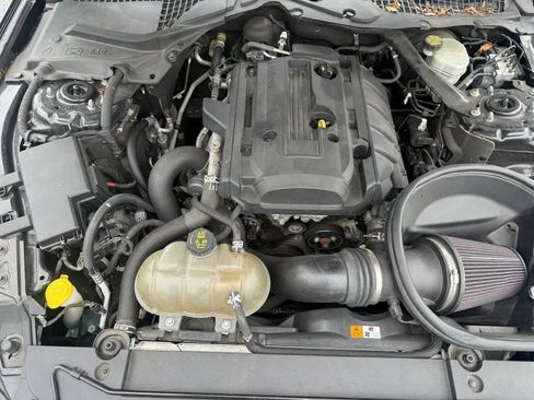 Used 2016 Ford Mustang Premium w/ Equipment Group 201A RWD image 13