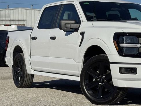 New 2025 Ford F150 STX w/ LOBO Package image 3