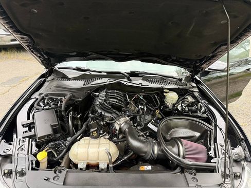 Used 2016 Ford Mustang Coupe w/ Equipment Group 051A RWD image 14
