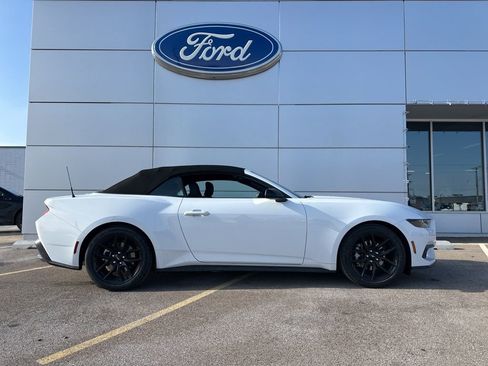 New 2026 Ford Mustang EcoBoost w/ Mustang Nite Pony Package image 3