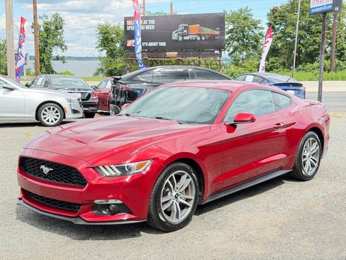 Used 2015 Ford Mustang Premium RWD image 8