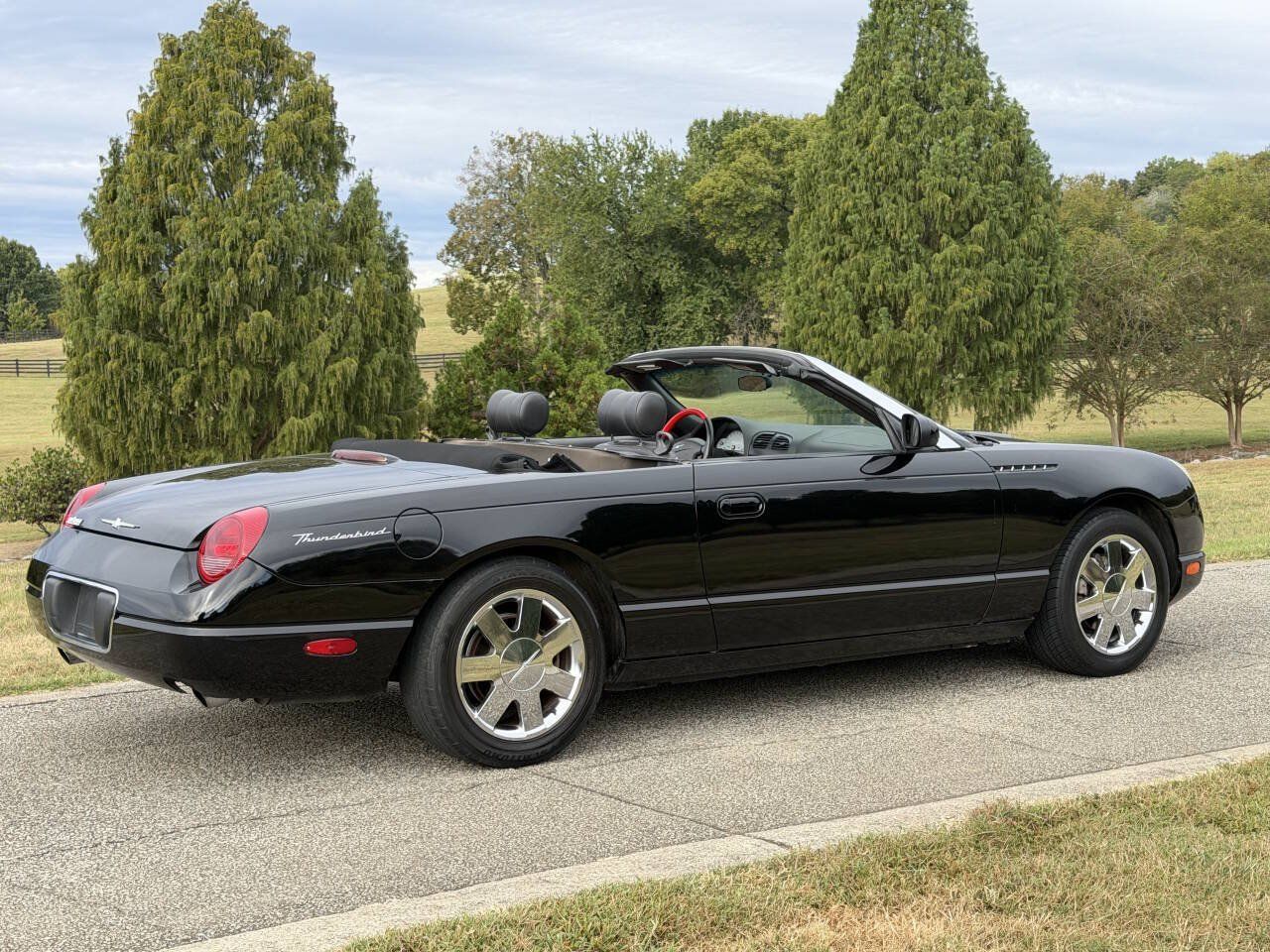 Used 2002 Ford Thunderbird RWD image 13