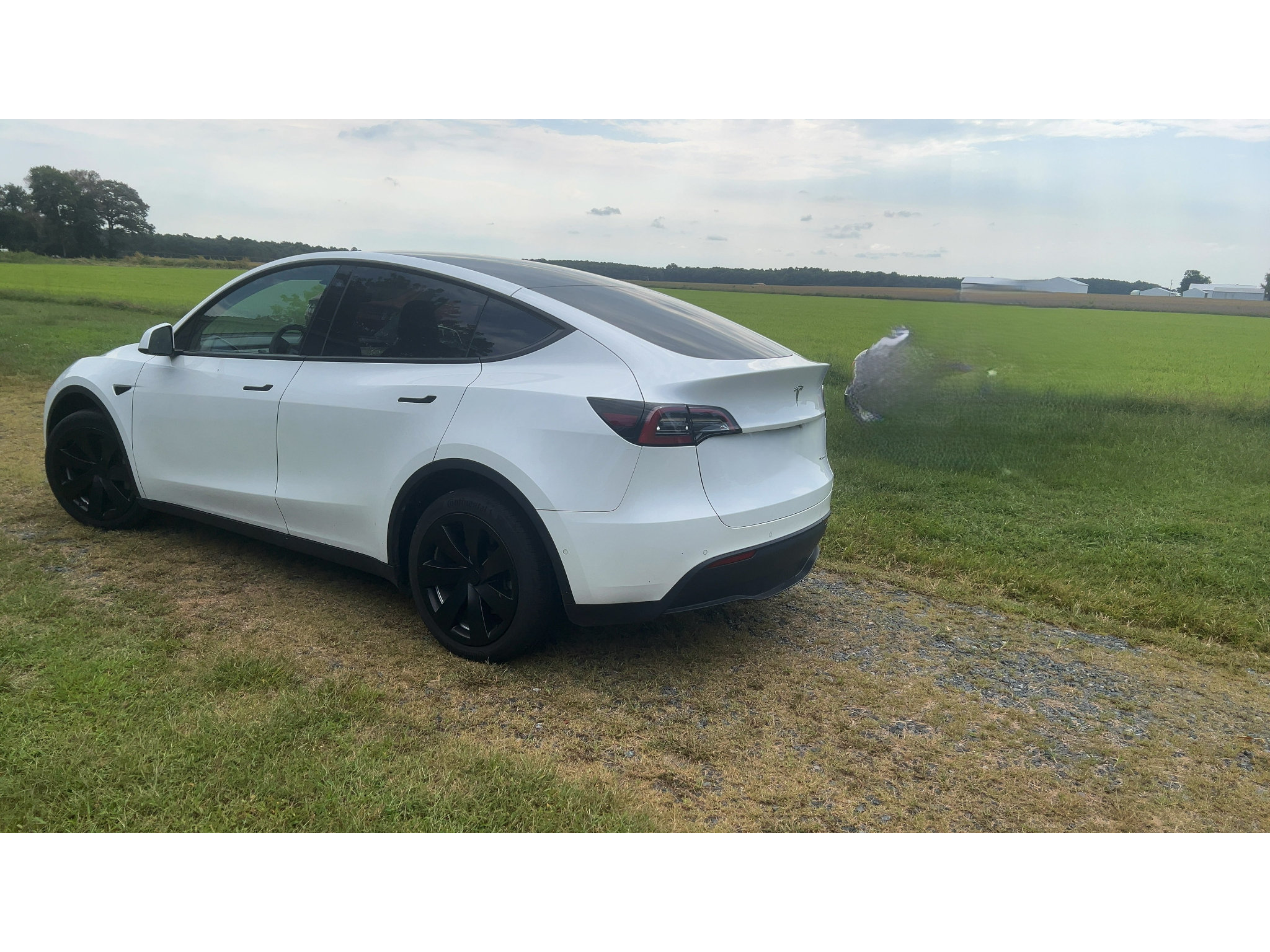 Used 2022 Tesla Model Y Long Range AWD/4WD image 5