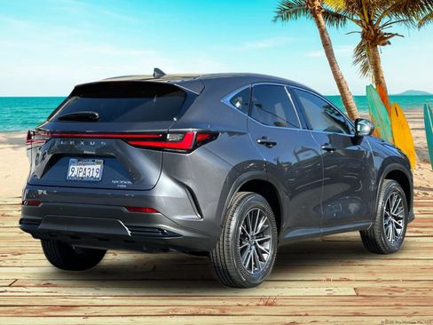 Used 2024 Lexus NX 350h AWD w/ Vision Package image 6