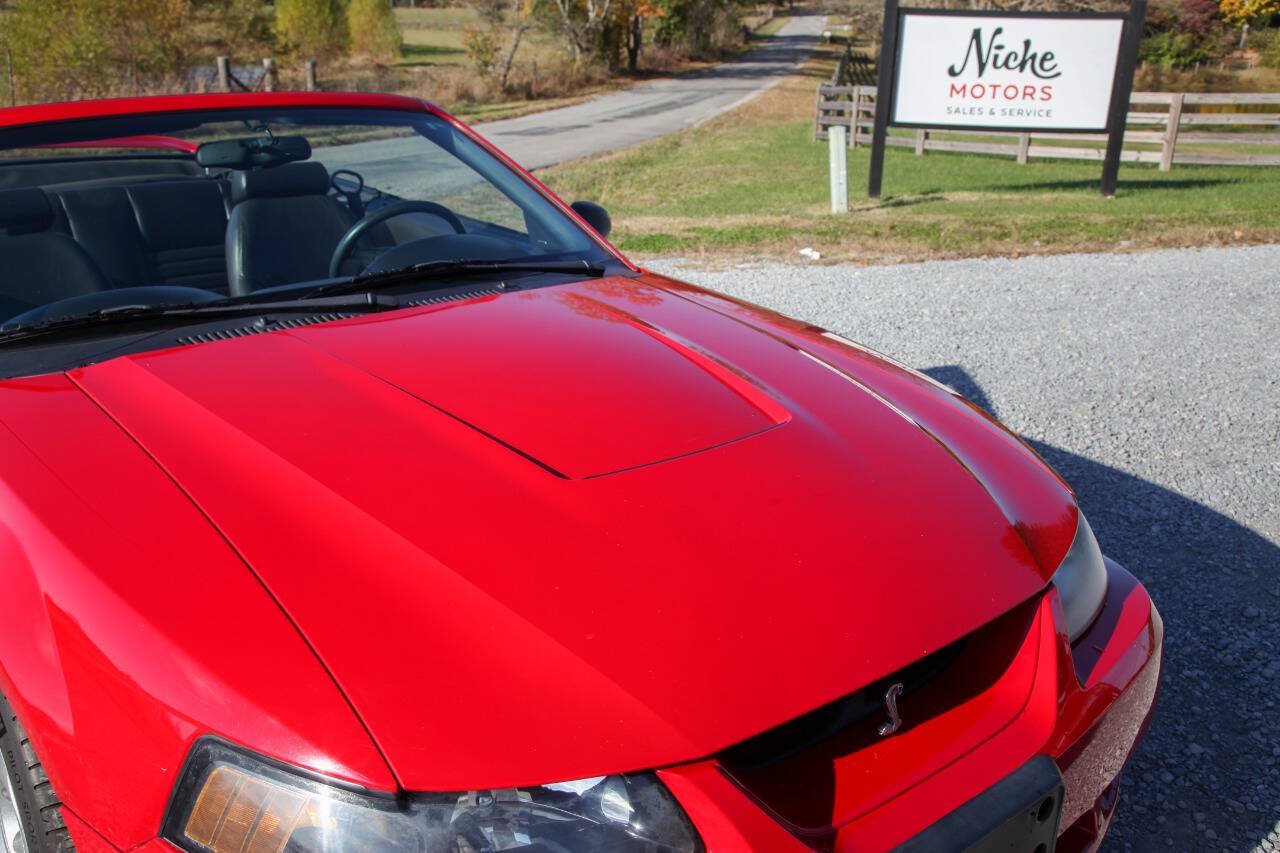 Used 1999 Ford Mustang Cobra RWD image 24