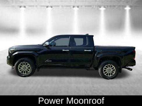 Used 2025 Toyota Tacoma Limited AWD/4WD image 8