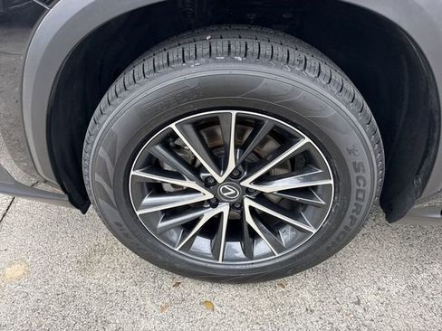 Certified 2024 Lexus NX 350h 350h Base w/ Cold Area Package image 10