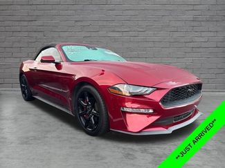 Used 2018 Ford Mustang Premium w/ Equipment Group 201A RWD video 1