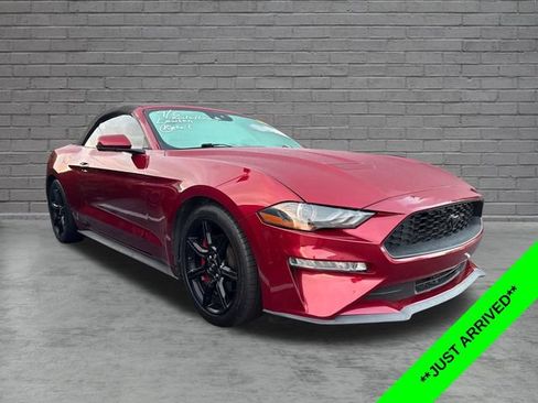 Used 2018 Ford Mustang Premium w/ Equipment Group 201A RWD image 1