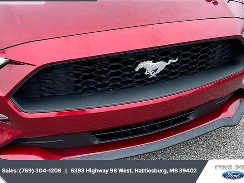 Used 2019 Ford Mustang Coupe w/ Equipment Group 101A image 21