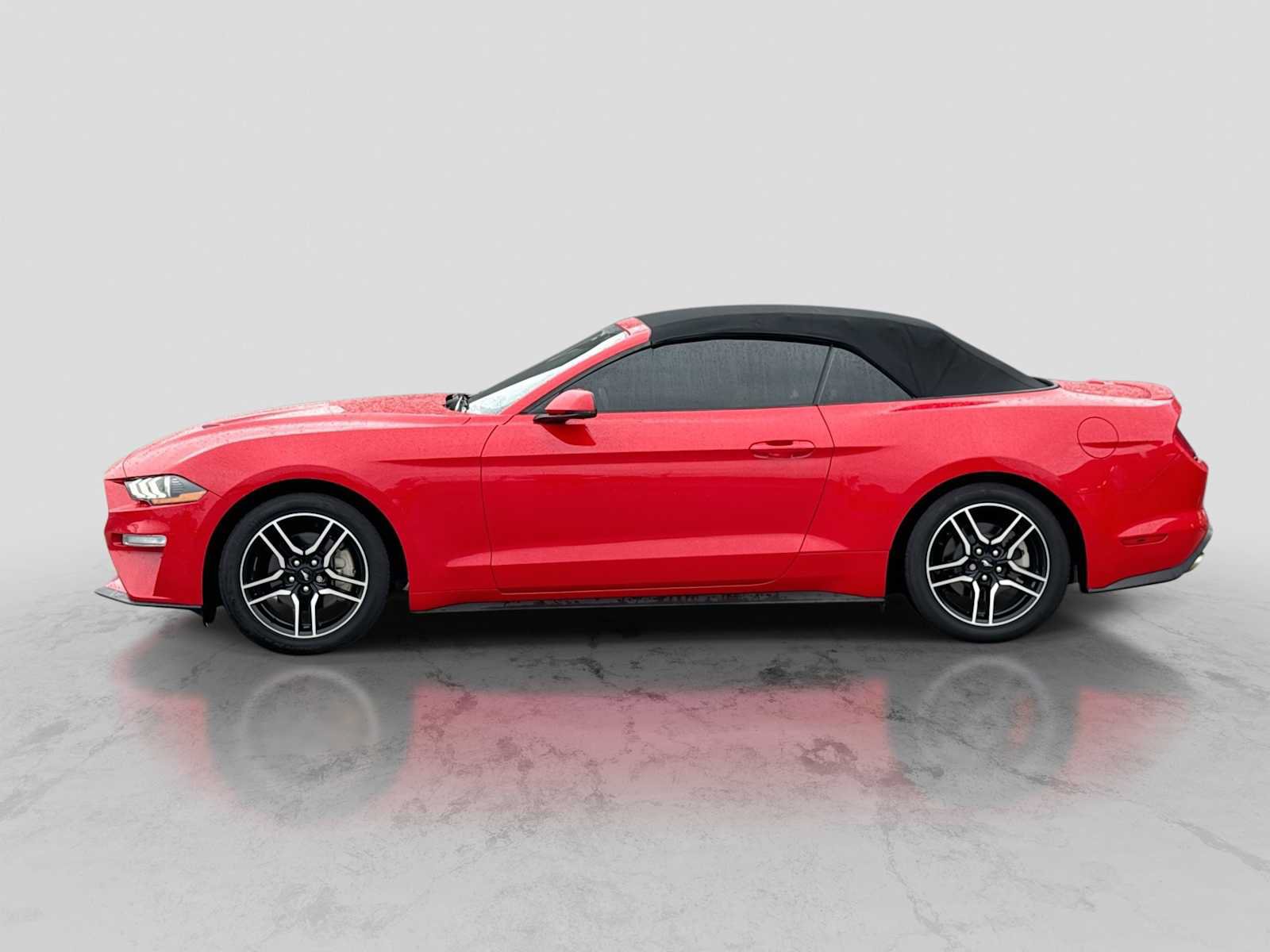 Used 2019 Ford Mustang Premium w/ Equipment Group 201A RWD image 3
