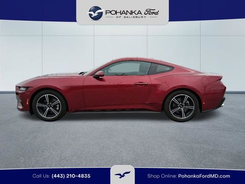 Used 2025 Ford Mustang Premium RWD image 8