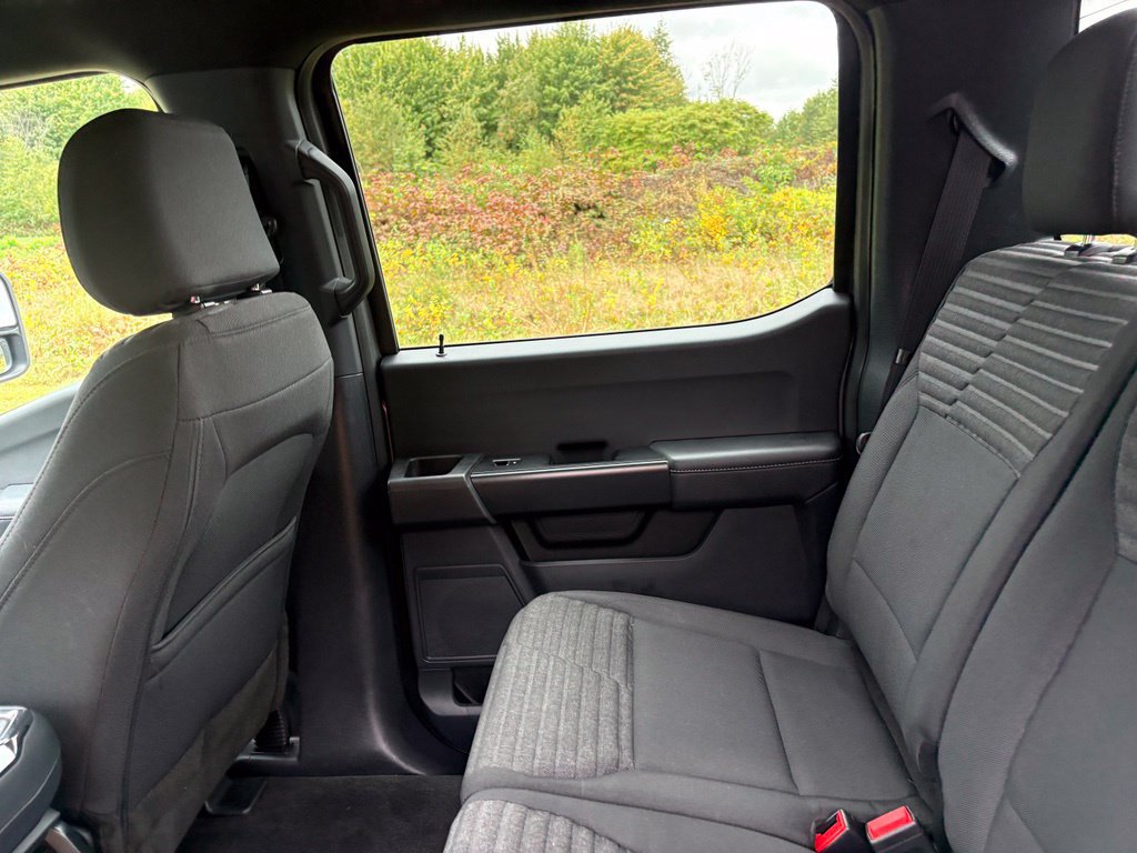 Used 2023 Ford F150 XL w/ STX Appearance Package AWD/4WD image 49