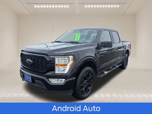 Used 2022 Ford F150 XL w/ STX Black Appearance Package image 4