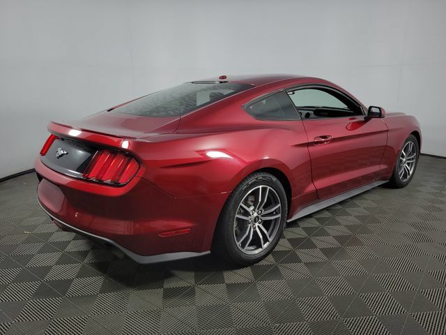 Used 2015 Ford Mustang Premium w/ Equipment Group 201A RWD image 9