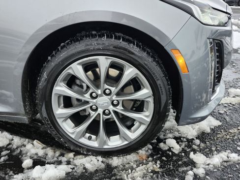 Used 2024 Cadillac CT5 Premium Luxury w/ Climate Package image 14