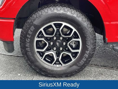 Used 2023 Ford F150 XLT w/ Equipment Group 302A High AWD/4WD image 11