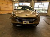 Certified 2021 Ford Escape Titanium w/ Titanium Elite Package image 2