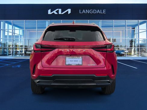 Used 2023 Lexus NX 250 FWD image 8