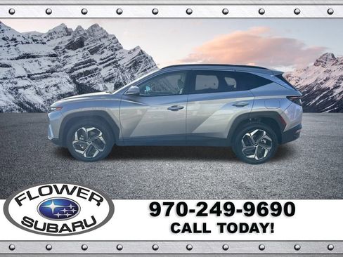 Used 2024 Hyundai Tucson Limited image 4