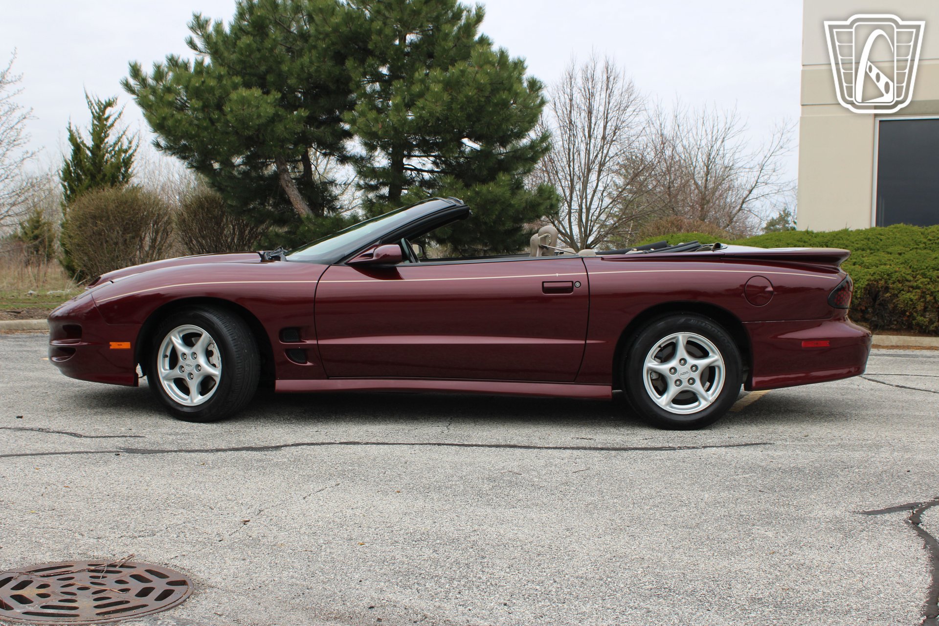 Used 2000 Pontiac Firebird Trans Am RWD image 5