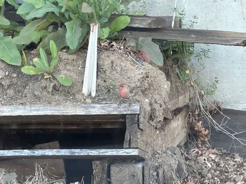 Used 2023 Subaru Outback Premium image 16