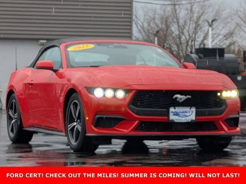 Certified 2025 Ford Mustang Premium RWD image 3