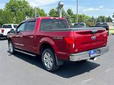 Used 2019 Ford F150 XLT w/ Equipment Group 302A Luxury image 3