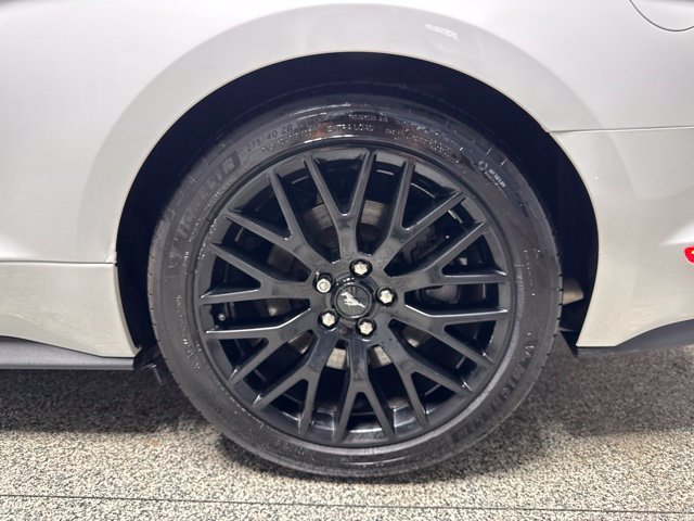 Used 2019 Ford Mustang GT Premium w/ GT Performance Package RWD image 14