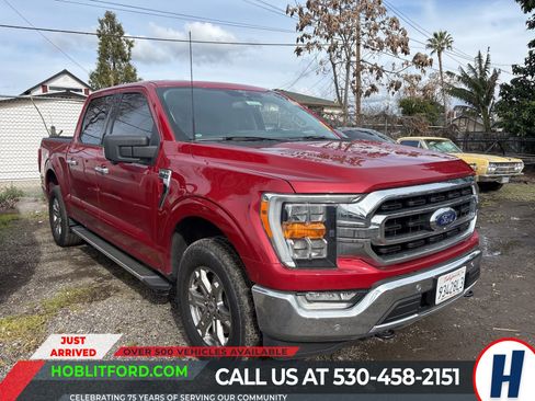 Used 2022 Ford F150 XLT w/ Equipment Group 302A High image 1