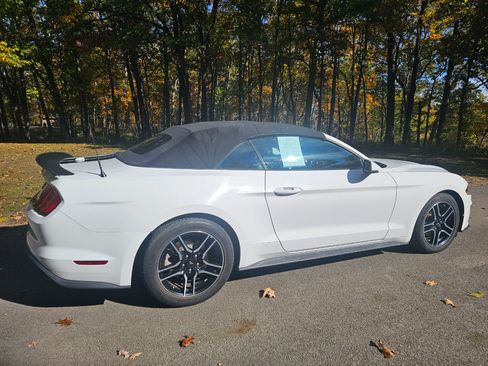 Used 2018 Ford Mustang Premium image 5