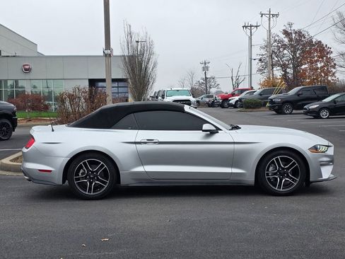 Used 2019 Ford Mustang Premium image 8