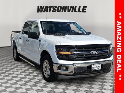 Used 2025 Ford F150 XLT w/ Equipment Group 301A Standard