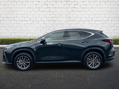 Used 2025 Lexus NX 350h AWD w/ Cold Area Package image 7
