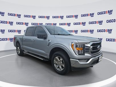 Certified 2023 Ford F150 XLT w/ Equipment Group 302A High