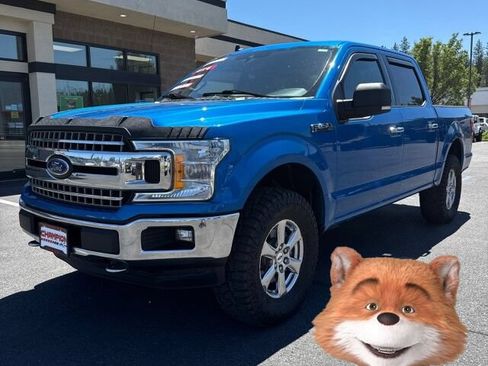 Used 2019 Ford F150 XLT w/ Equipment Group 301A Mid AWD/4WD image 1