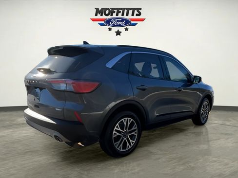 Used 2020 Ford Escape SEL image 5