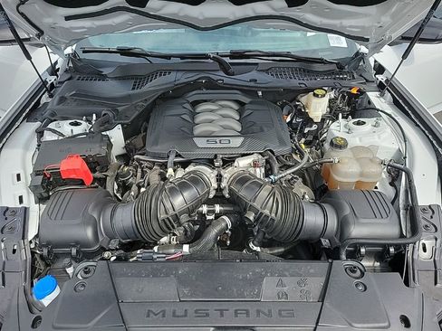 Used 2024 Ford Mustang GT w/ Mustang Nite Pony Package image 14