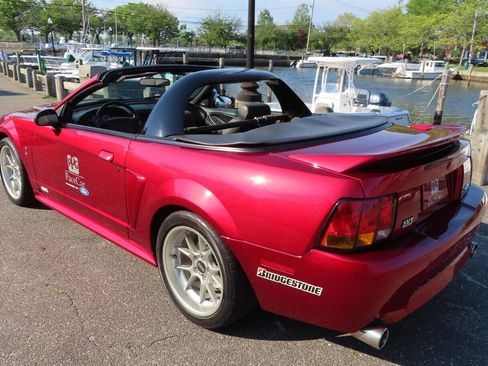 Used 1999 Ford Mustang Cobra RWD image 13