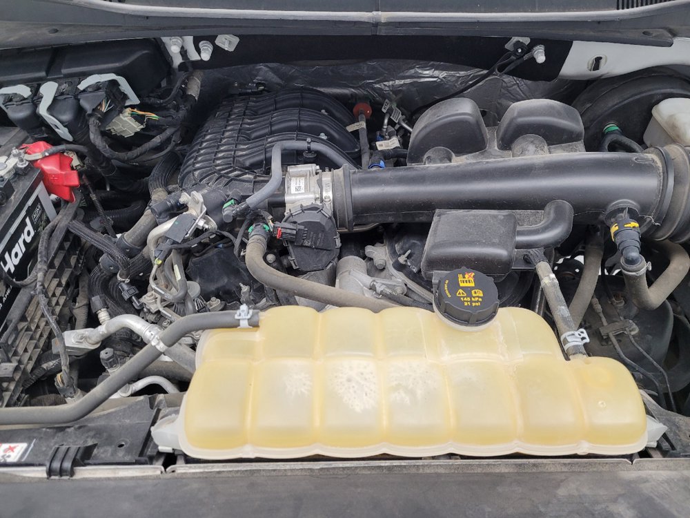 Used 2019 Ford F150 XL w/ Equipment Group 101A Mid RWD image 30