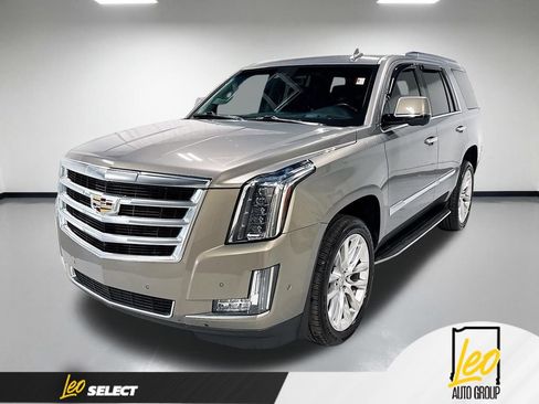Used 2017 Cadillac Escalade Luxury AWD/4WD image 1