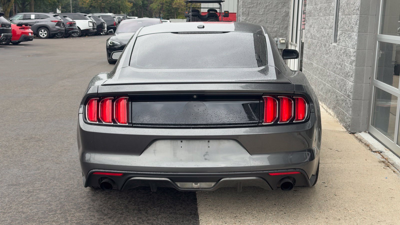 Used 2015 Ford Mustang Premium w/ Equipment Group 201A RWD image 5