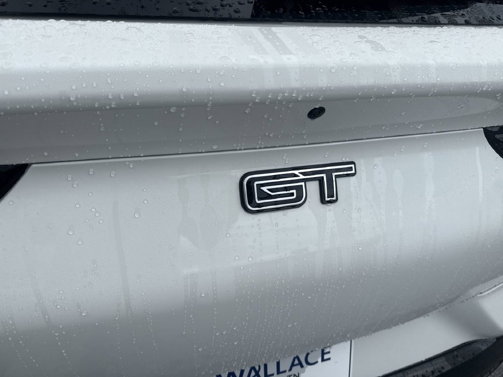 New 2025 Ford Mustang Mach-E GT AWD/4WD image 6