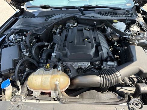 Used 2018 Ford Mustang Premium RWD image 8